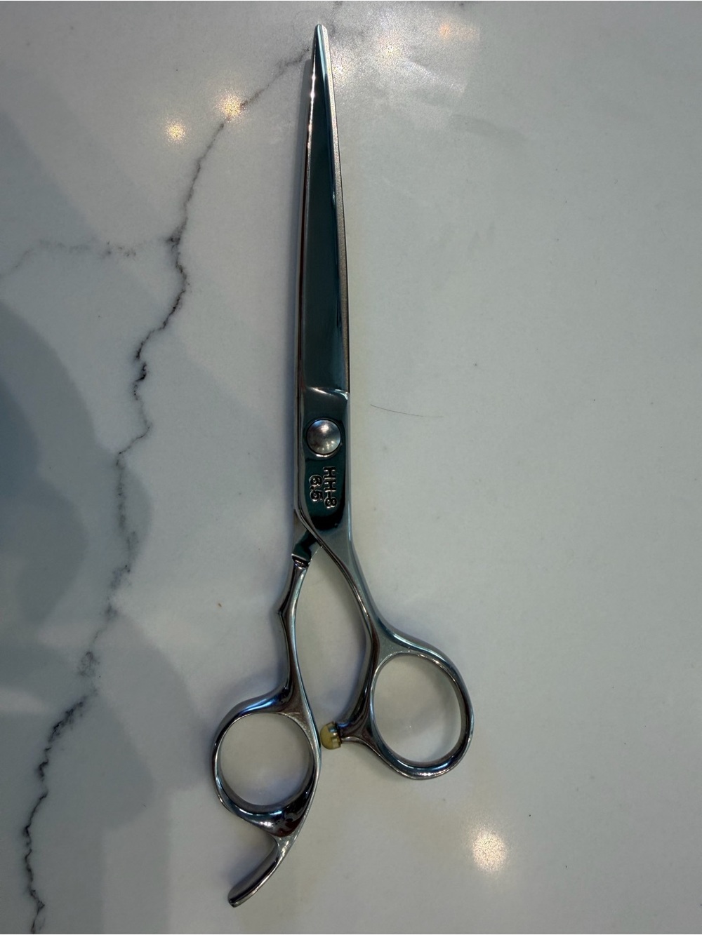 Professional Stainless Steel Grooming Scissors - Silver